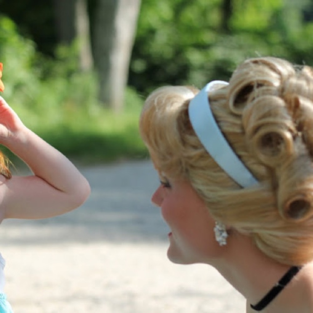 Cinderella Wig
